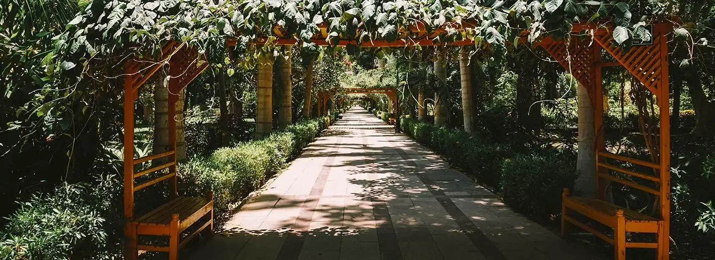 Aswan Botanical Garden